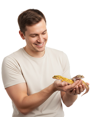 thetails aboutus banner