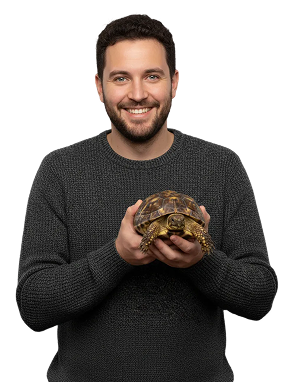 thetails subscriptionpolicy