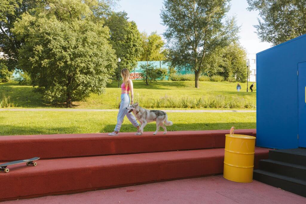 pexels yaroslav shuraev 9632607 1 1