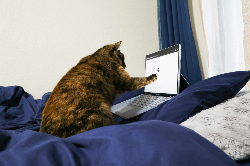 cats sit on your laptop 1